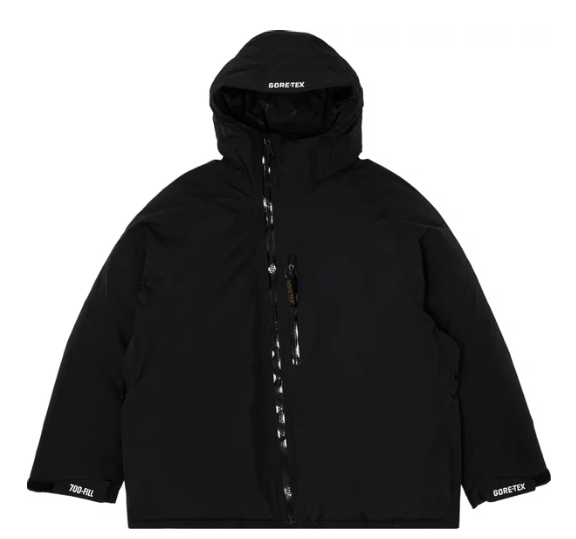 2023 Supreme GORE-TEX 700-Fill Down Parka 'Black'