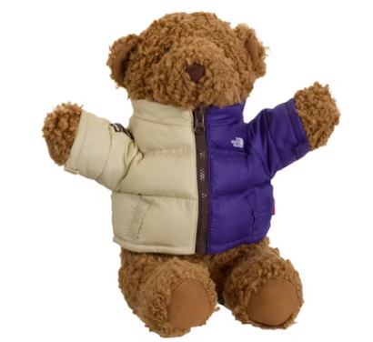 Supreme The North Face Bear Tan